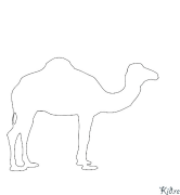 camell Pàgines Per Pintar Imprimibles